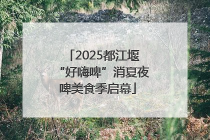 2025都江堰“好嗨啤”消夏夜啤美食季启幕